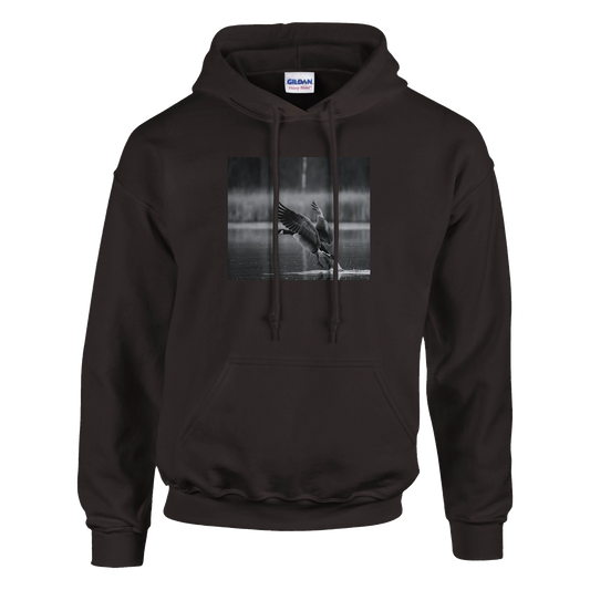 e6f241f9-de63-48fb-ad65-4abba4f2cbe4